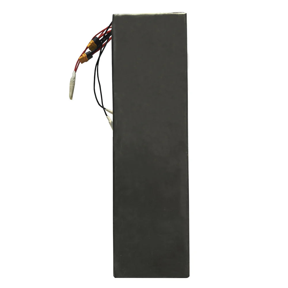 52V 30AH Upgraded Ridstar Battery